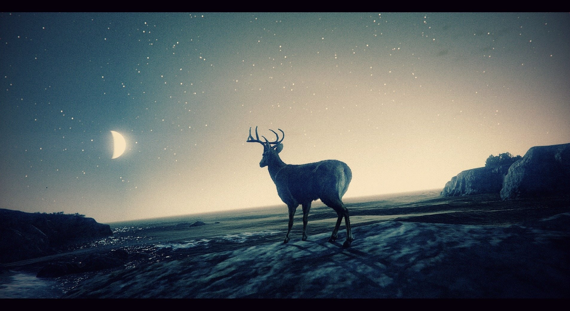 Download Star Night Moon Deer Video Game Grand Theft Auto V Wallpaper