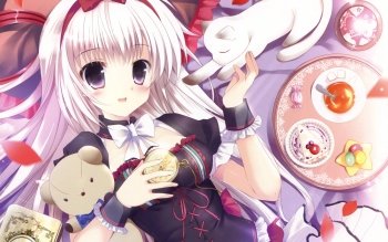 31 Tea Cup Hd Wallpapers Background Images Wallpaper Abyss
