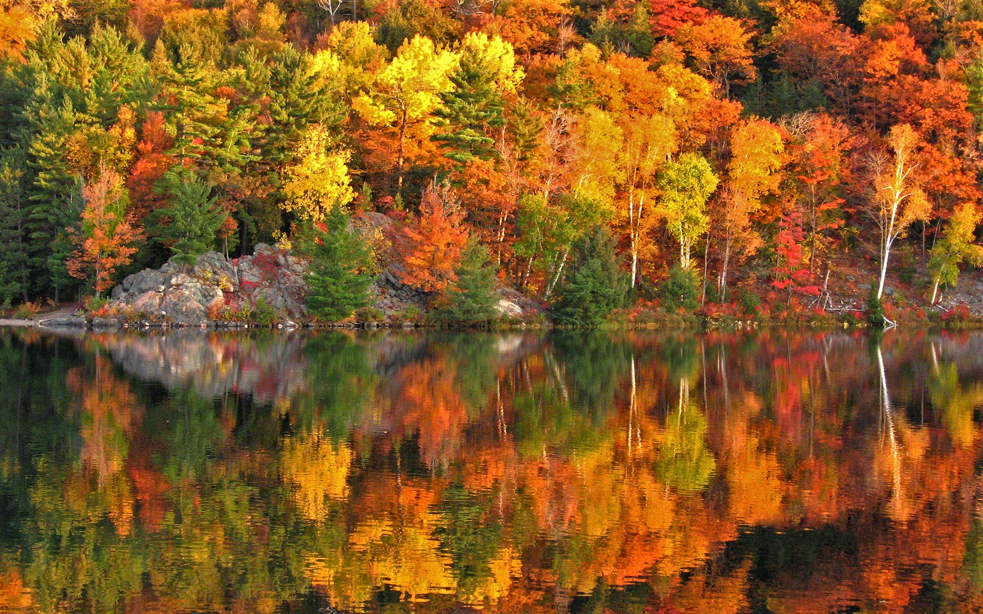 Вот и пришла разноцветная осень. Онтарио Канада осень. Осенний лес Канада. Разноцветная осень. Канадские леса осенью.