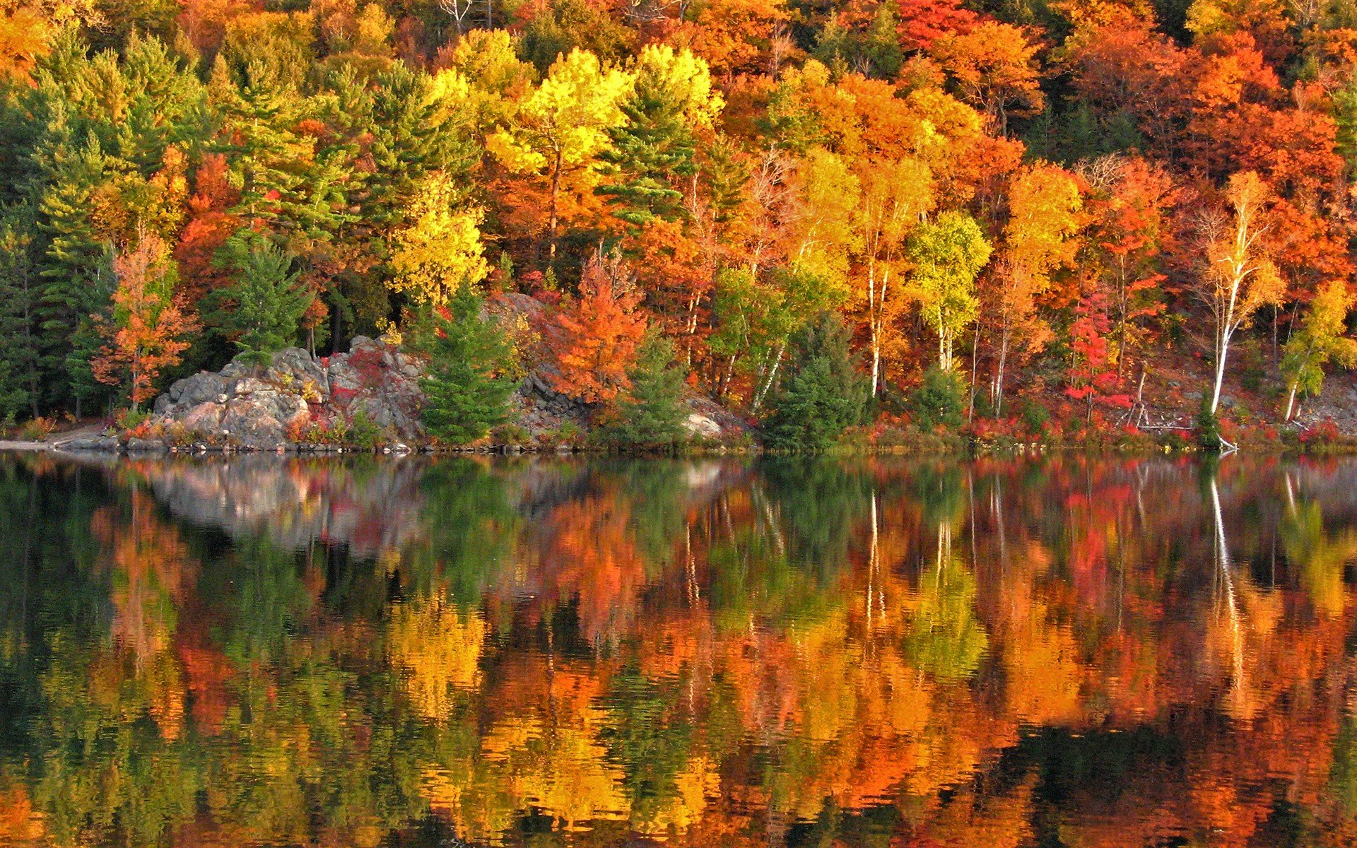 Bright Autumn Forest Reflected in Lake
