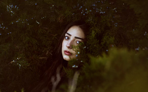 gaze fir tree tree face woman artistic HD Desktop Wallpaper | Background Image
