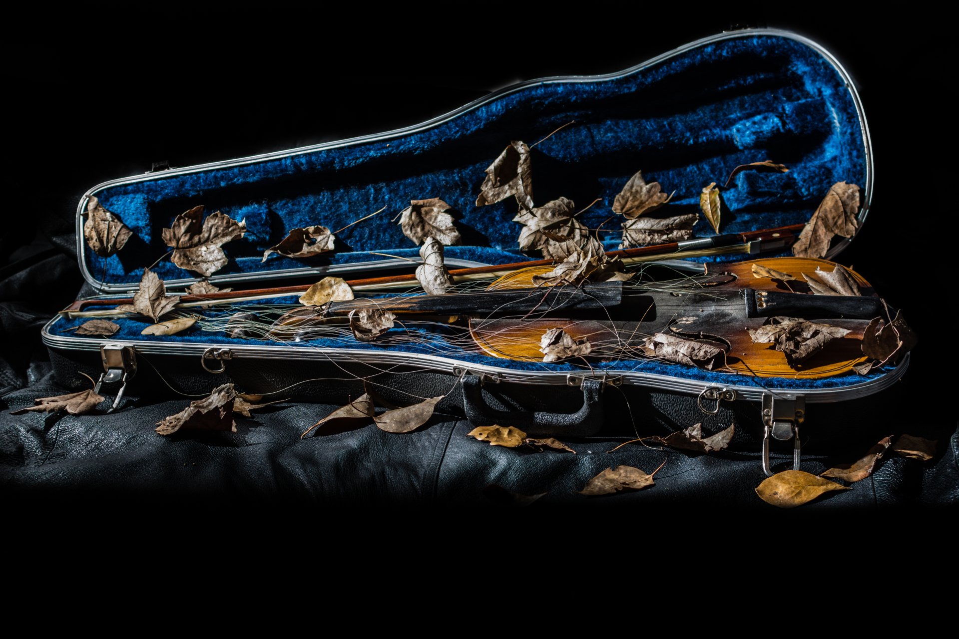 A violin resting in an open case, scattered with dry leaves, captured in vivid detail for a 4K Ultra HD PC desktop wallpaper.