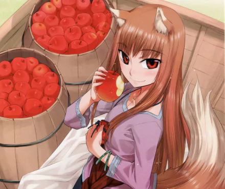 Holo (Spice & Wolf) Anime Spice and Wolf HD Desktop Wallpaper | Background Image