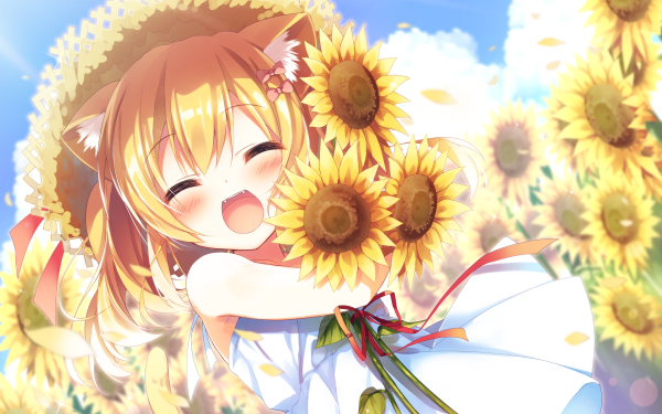 Anime Original HD Wallpaper | Background Image