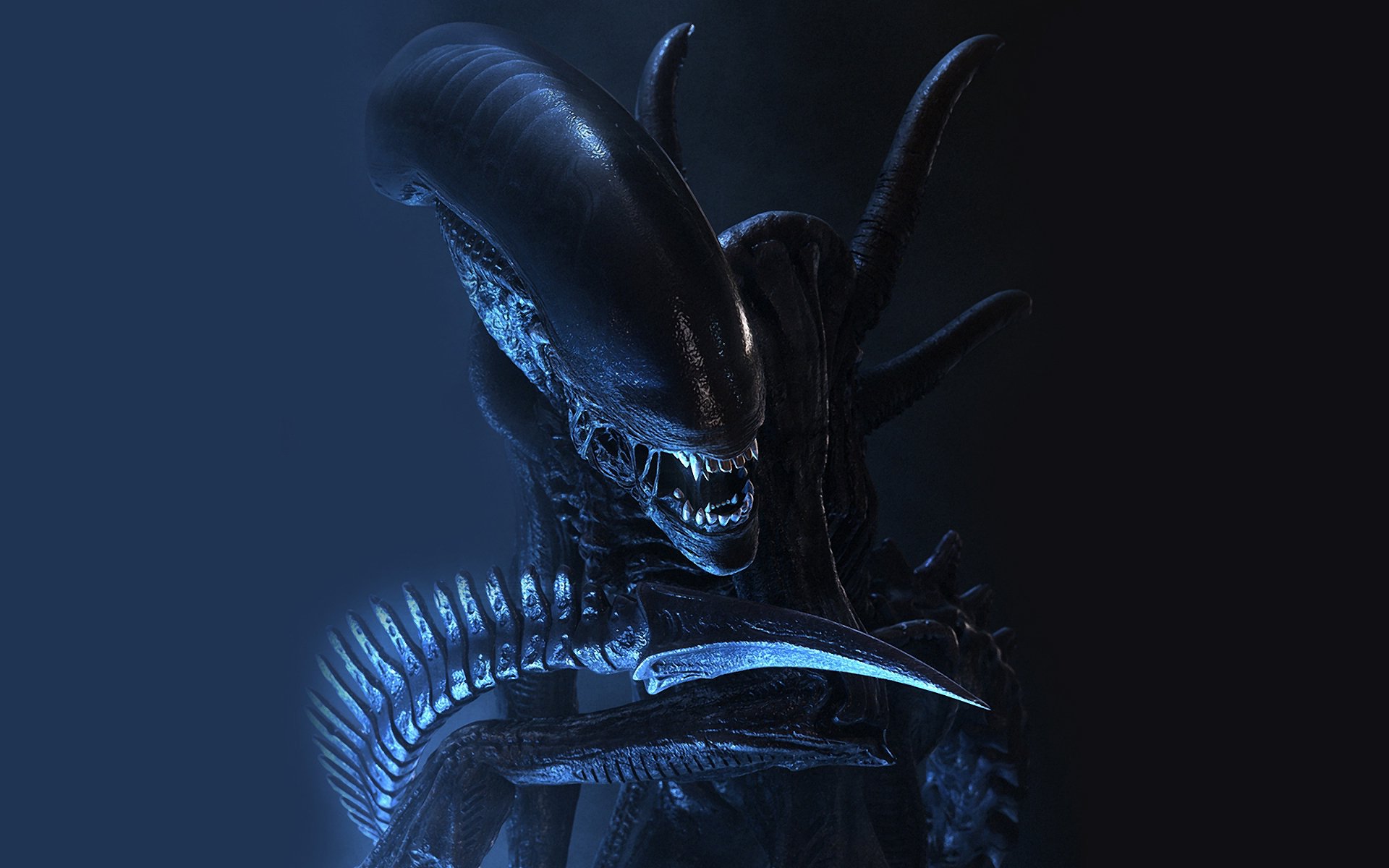 Alien Xenomorph Wallpaper 4k