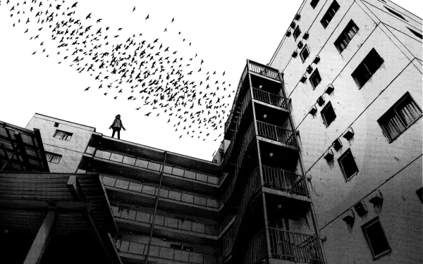 Black-and-white anime-style HD wallpaper from Goodnight Punpun featuring a lone figure on a building rooftop with a flock of birds soaring overhead.
