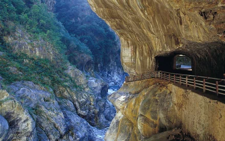 A breathtaking view of The Treacherous Highway, featuring a scenic walkway carved into rock, surrounded by lush trees and a deep canyon. An impressive nature wallpaper backdrop.