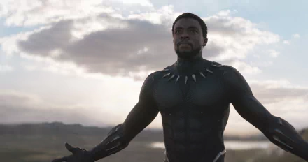 HD desktop wallpaper featuring Chadwick Boseman as Black Panther, standing with arms outstretched against a dramatic sky background.