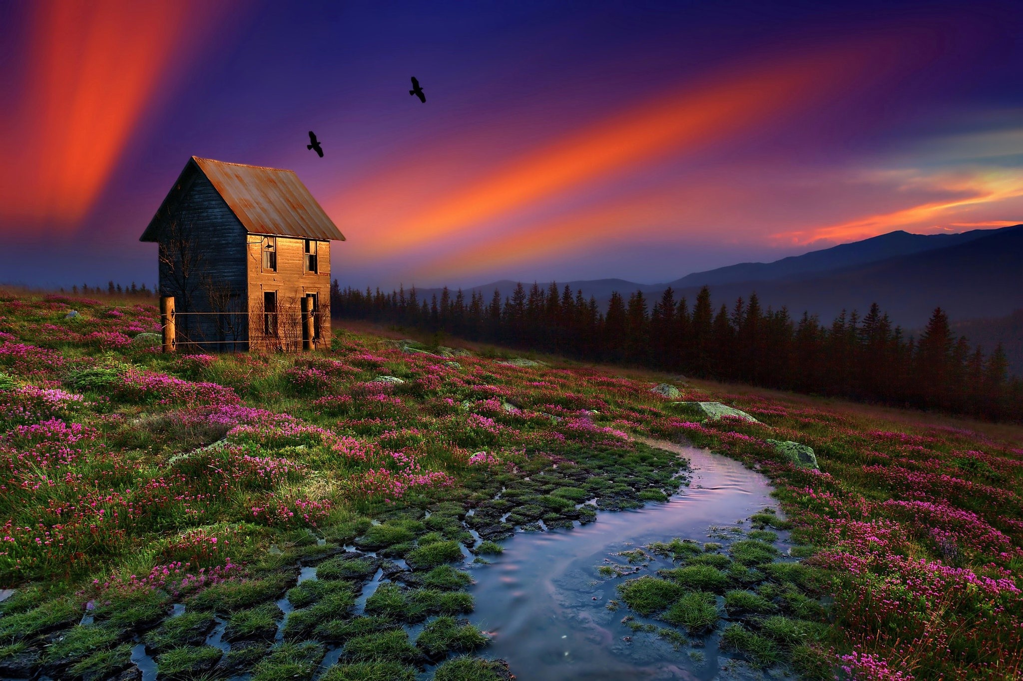 The House at Sunset by Norah Lofts The House at Sunset by Norah Lofts