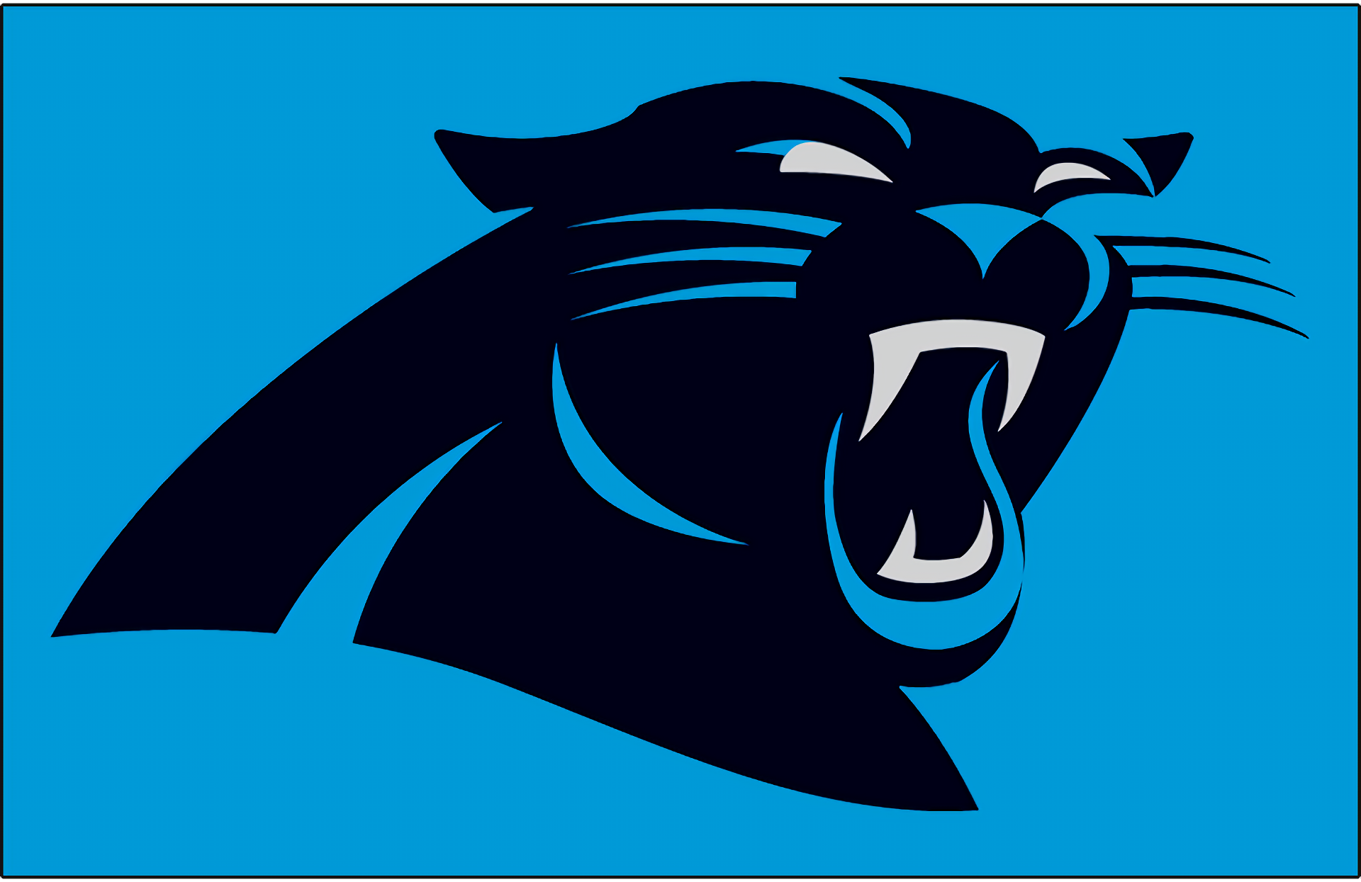 Carolina Panthers HD Wallpaper | Background Image | 1920x1245