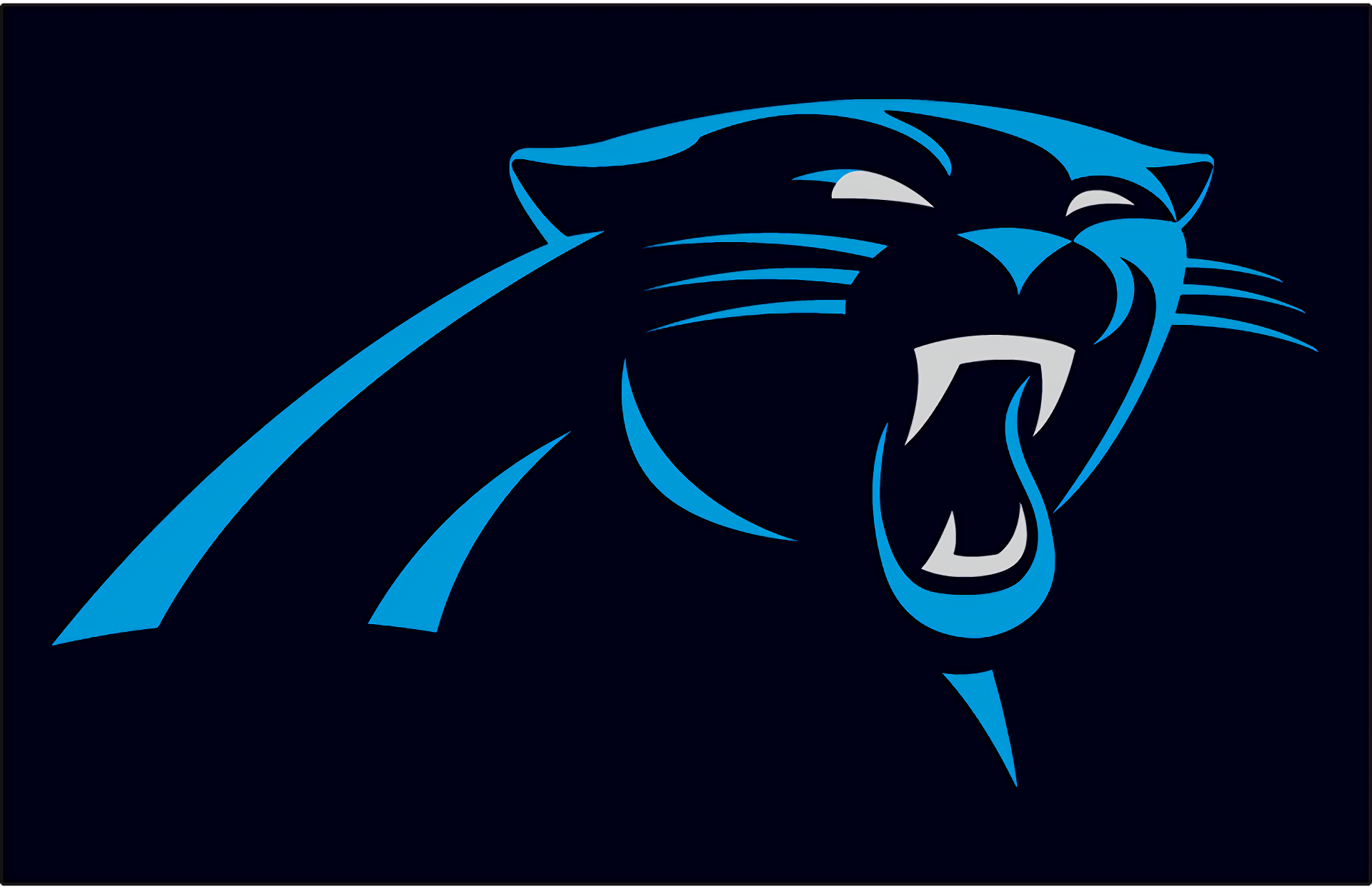 Sports Carolina Panthers HD Wallpaper | Background Image