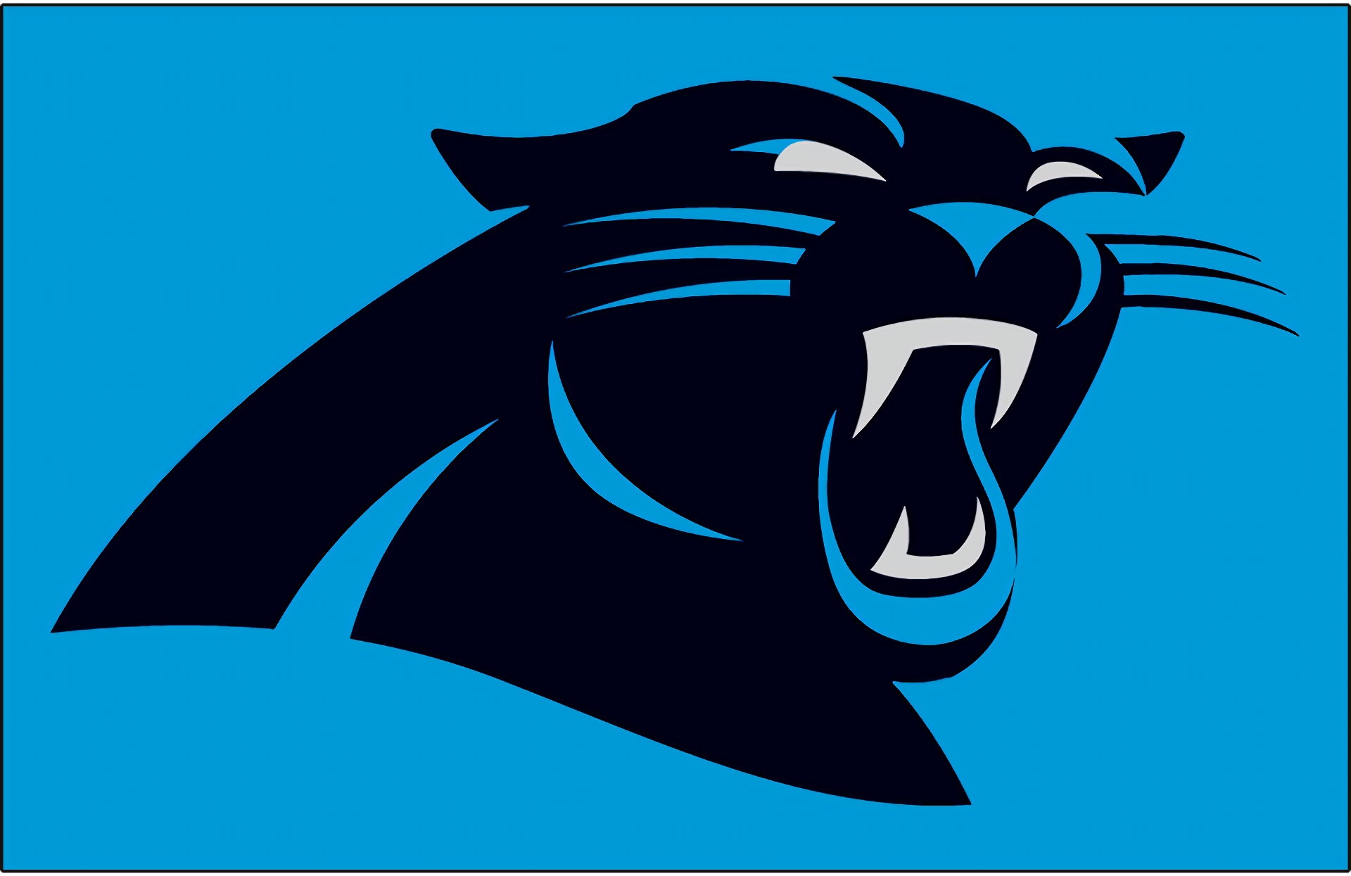 Carolina Panthers HD Wallpaper | Background Image | 1920x1245 | ID:858434 - Wallpaper Abyss