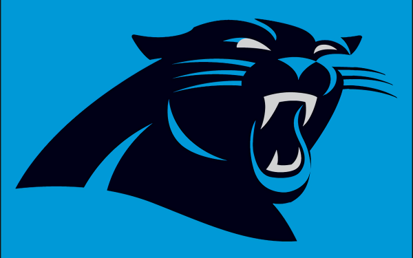 Sports Carolina Panthers Football HD Wallpaper | Background Image