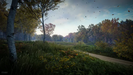  TheHunter: Call of the Wild / It's Getting Windy