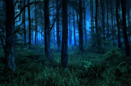 A night scene in a dense forest shrouded in fog, exuding a mysterious and serene ambiance. This HD nature wallpaper captures the dark, tranquil beauty of the forest at night.