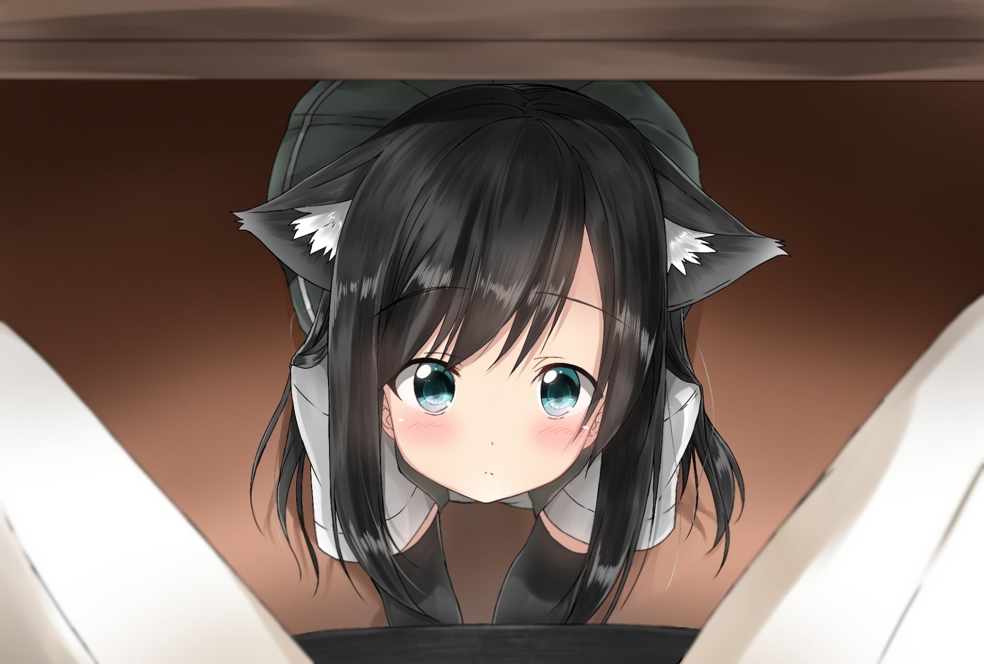 HD anime-style wallpaper featuring Asashio from Kantai Collection with black hair, blue eyes, and cat ears in a close-up view.