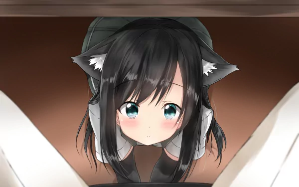 HD anime-style wallpaper featuring Asashio from Kantai Collection with black hair, blue eyes, and cat ears in a close-up view.