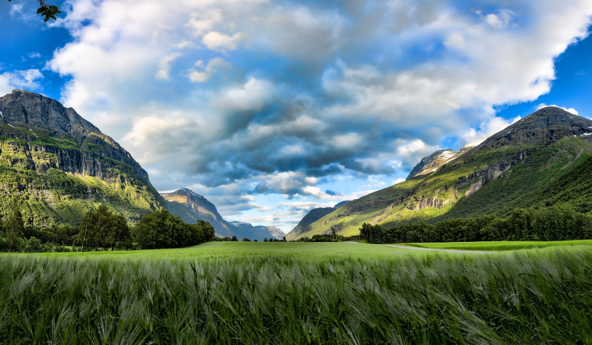 HD desktop wallpaper featuring a lush green wheat field under a vibrant summer sky, framed by majestic mountains and scattered clouds. Nature's landscape beauty.