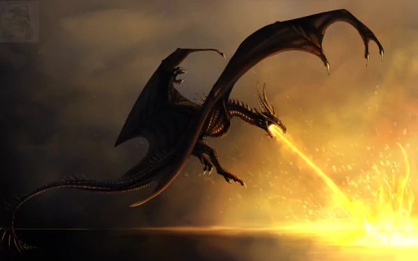 fire fantasy dragon Fire Dragon HD Desktop Wallpaper | Background Image