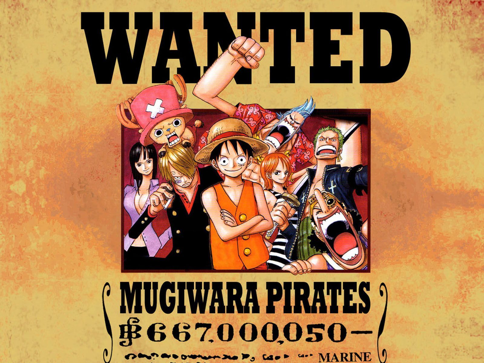 Wanted Poster Of The Straw Hats Wallpaper And Background Image 1600x10