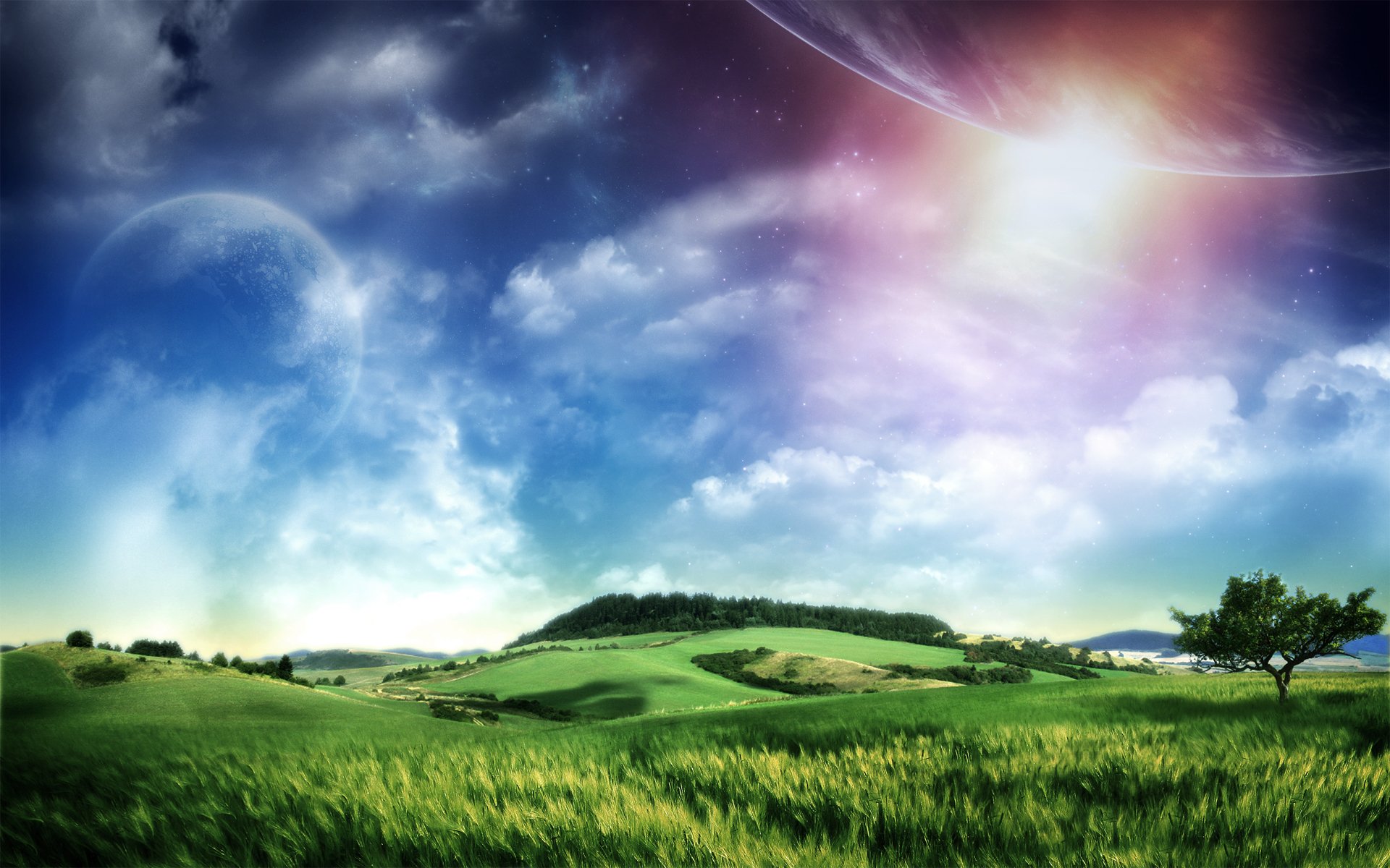 Download Nature Field HD Wallpaper