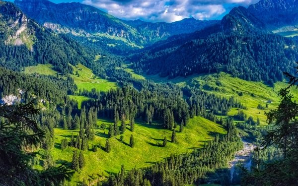 Earth Landscape Mountain Forest Austria Green HD Wallpaper | Background Image