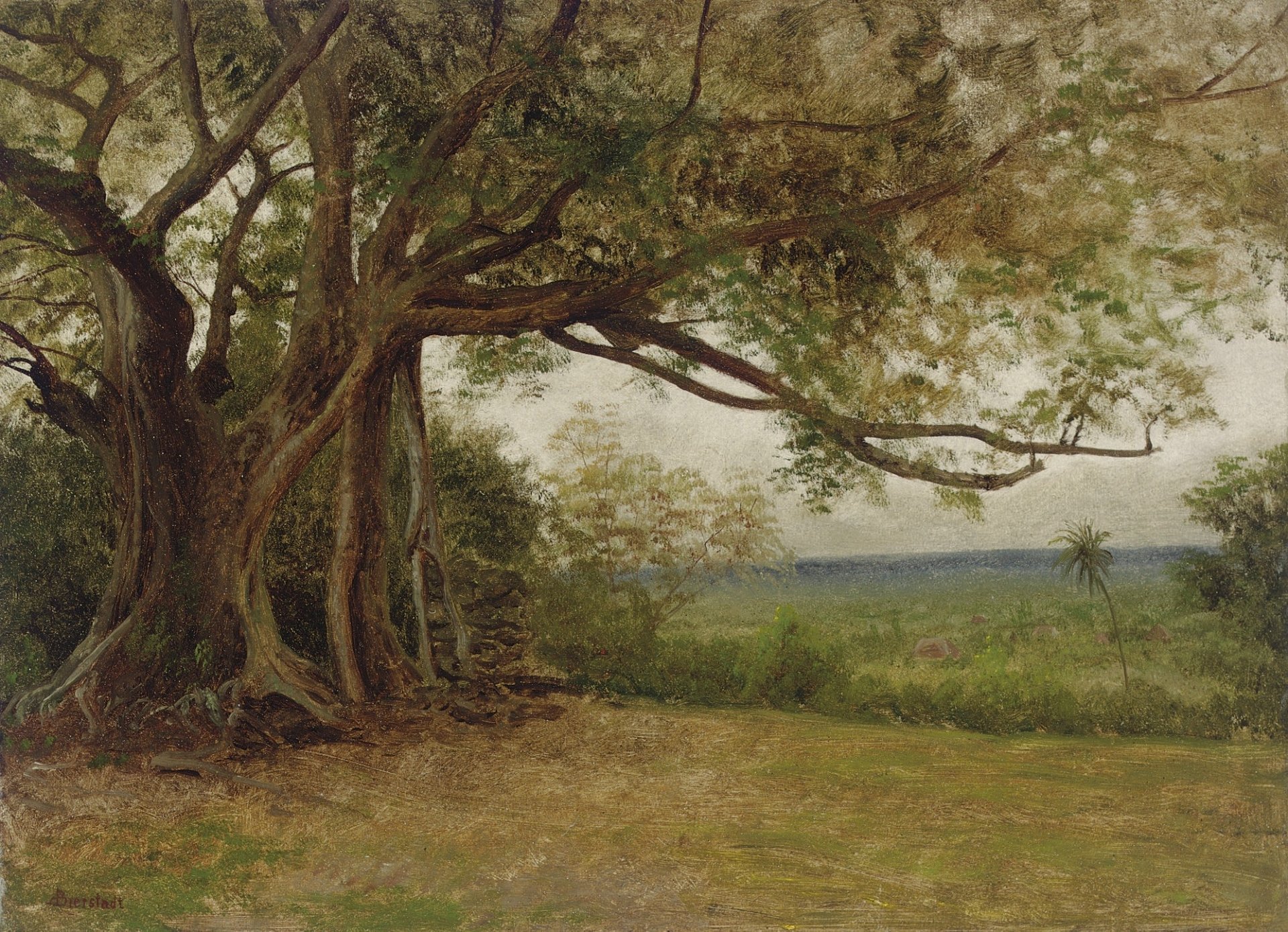 Download Artistic Landscape HD Wallpaper by Albert Bierstadt