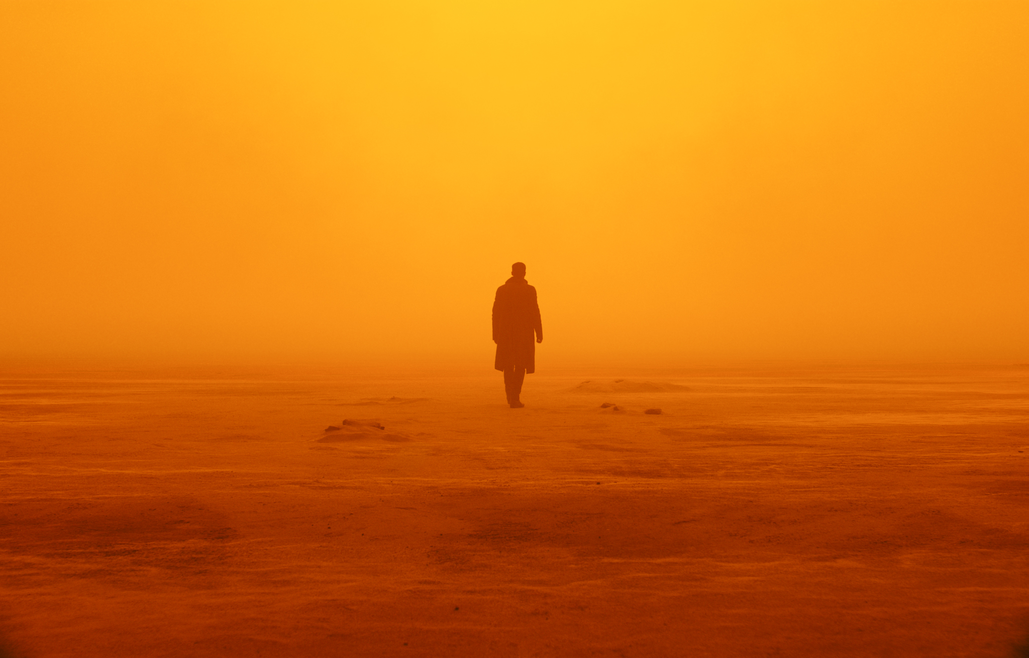 Blade Runner 2049 Wallpapers  Wallpaper Cave