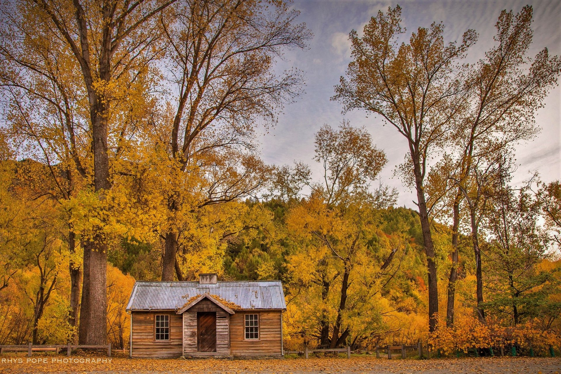 HD PC desktop wallpaper/background: man-made wooden cabin amid a fall forest, golden woodlands and tall trees under a soft sky.