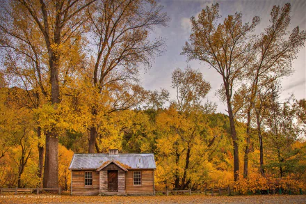 HD PC desktop wallpaper/background: man-made wooden cabin amid a fall forest, golden woodlands and tall trees under a soft sky.