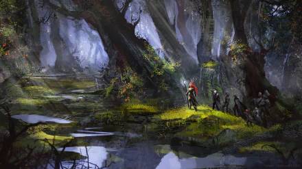 HD PC desktop wallpaper of a sorceress and fantasy warrior leading a small party through a misty forest as sunbeams pierce ancient trees and shimmer on swampy pools.