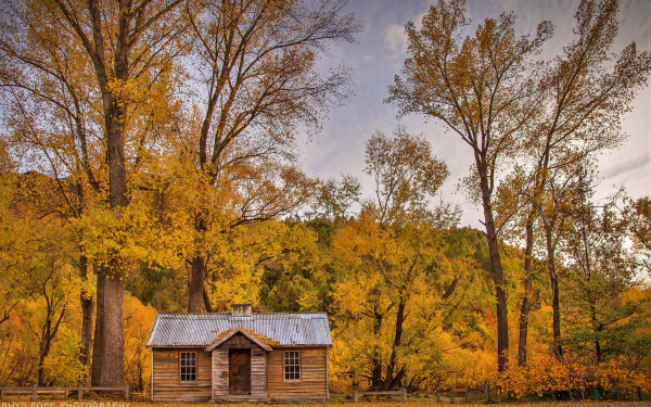 HD PC desktop wallpaper/background: man-made wooden cabin amid a fall forest, golden woodlands and tall trees under a soft sky.