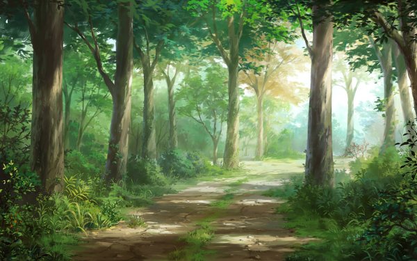 Anime Original Tree Path HD Wallpaper | Background Image