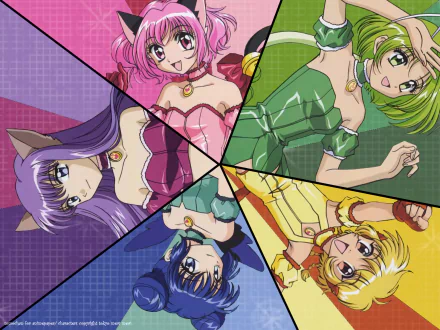 Mew Zakuro Mew Pudding Mew Mint Mew Ichigo Mew Lettuce Anime Tokyo Mew Mew HD Desktop Wallpaper | Background Image