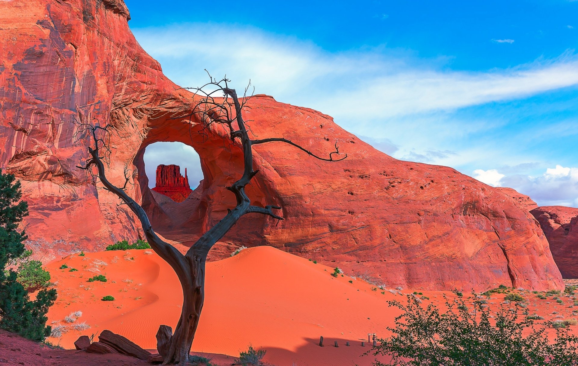 HD desktop wallpaper showing a dead tree in a desert landscape with red sand and a natural rock arch under a bright blue sky.