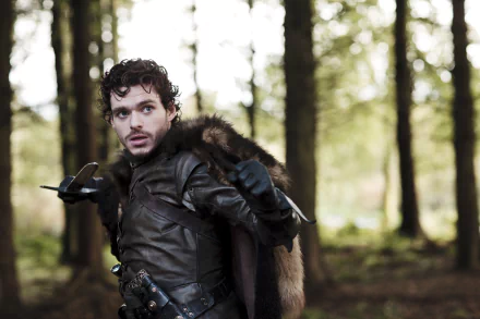 Richard Madden Robb Stark TV Show Game Of Thrones HD Desktop Wallpaper | Background Image