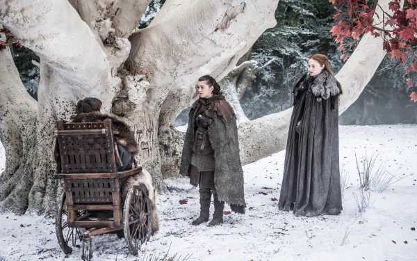 Sophie Turner Sansa Stark Maisie Williams Arya Stark Isaac Hempstead-Wright Bran Stark TV Show Game Of Thrones HD Desktop Wallpaper | Background Image
