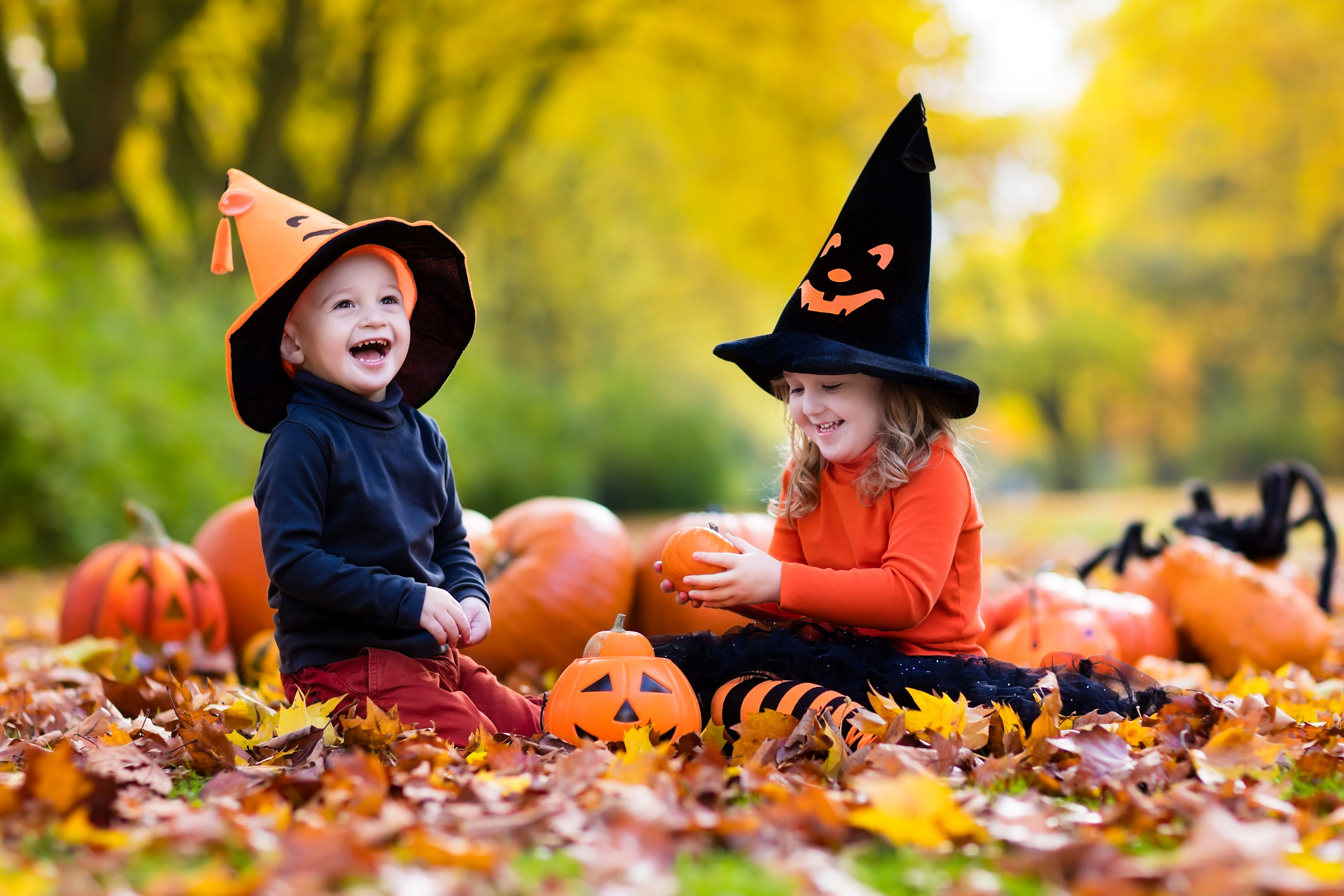 Download Holiday Halloween HD Wallpaper