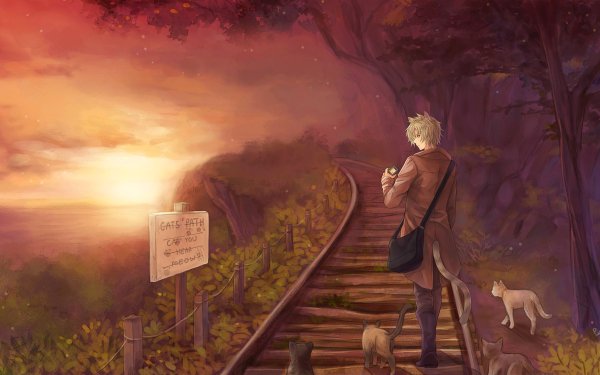Anime Original Cat Tree Sunset Animal Ears Short Hair Tail Scenic Railroad HD Wallpaper | Background Image