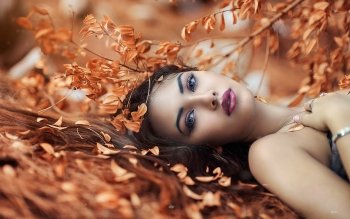 Autumn Hd Wallpapers Background Images Wallpaper Abyss