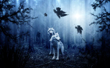 A 4K Ultra HD desktop wallpaper featuring two wolves standing in a misty forest with dark leaves falling around them, creating a mysterious and atmospheric scene.