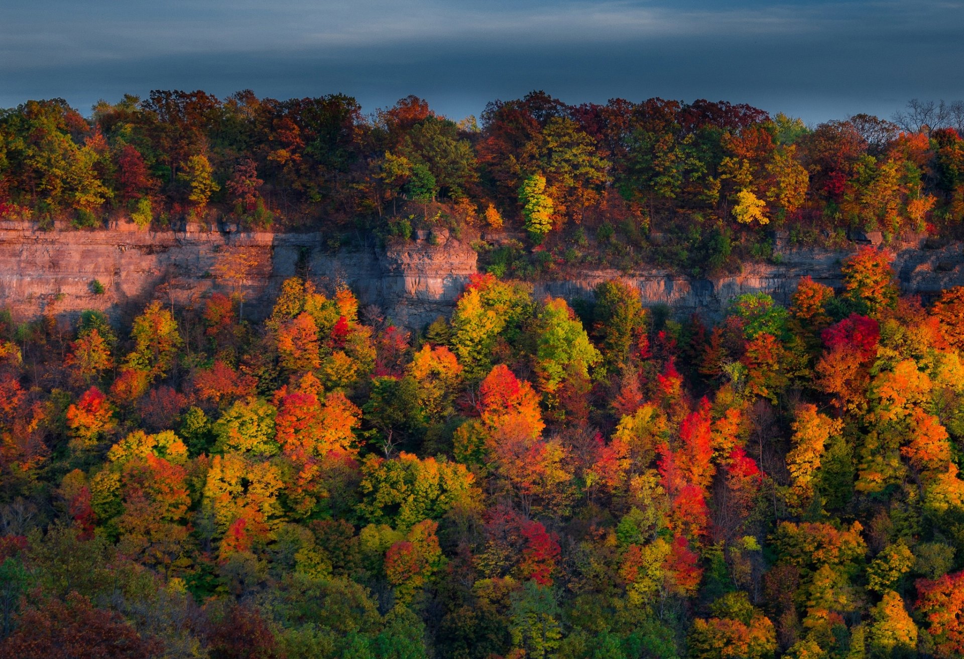 HD PC desktop wallpaper of a vibrant fall forest with colorful autumn foliage beneath a cloudy sky.