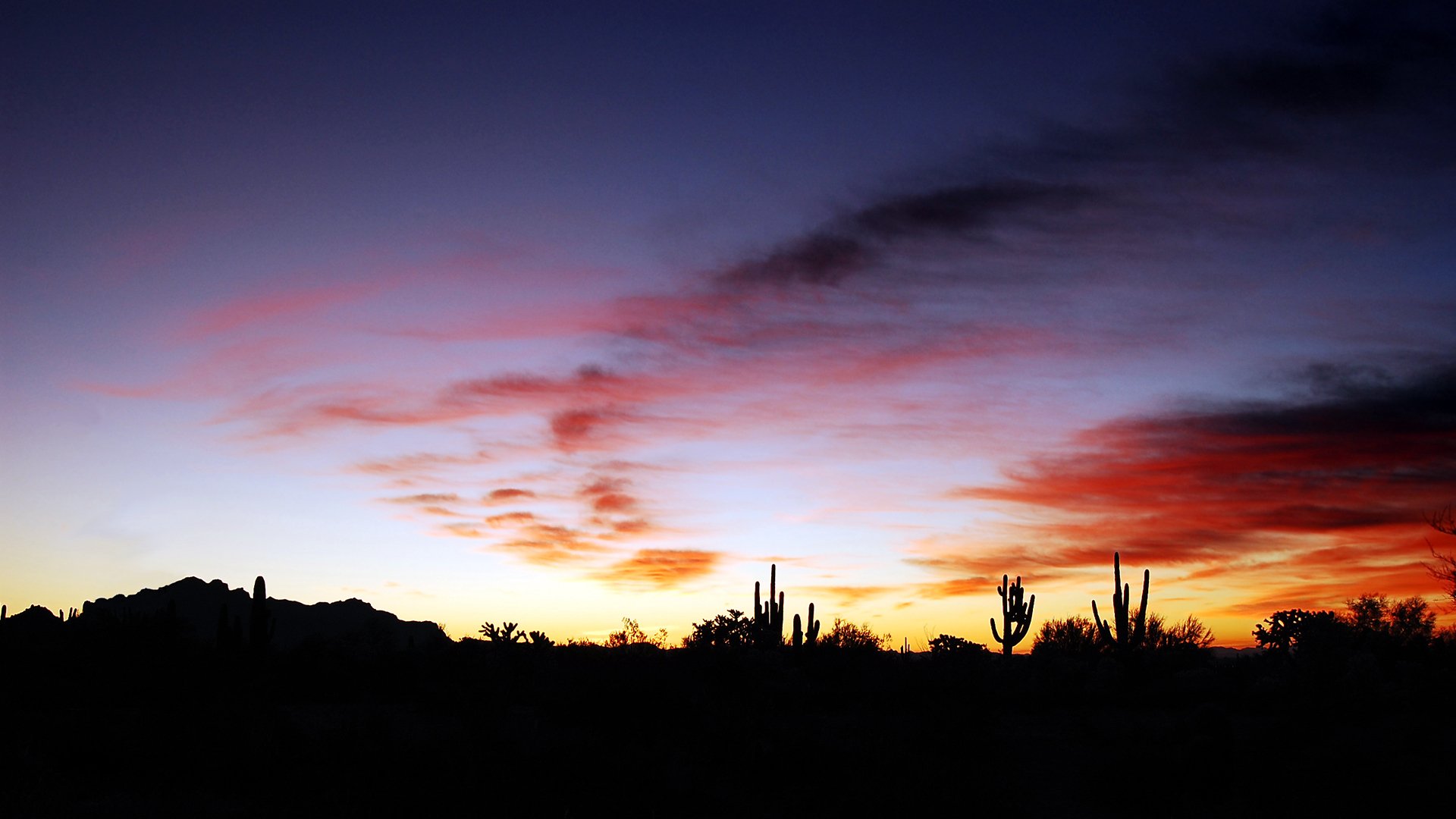 HD desktop wallpaper capturing a desert landscape with cactus and bushes silhouetted against a vibrant sunrise sky filled with clouds over wild grass.