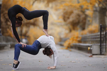 woman yoga HD Desktop Wallpaper | Background Image