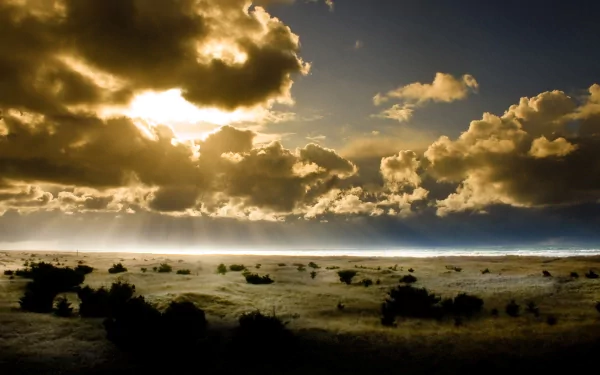 HD PC desktop wallpaper: golden sun piercing dramatic clouds over a wild savanna landscape of grass, sand and scattered shrubs stretching beneath a vast sky.