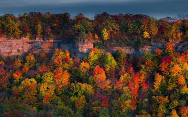 HD PC desktop wallpaper of a vibrant fall forest with colorful autumn foliage beneath a cloudy sky.