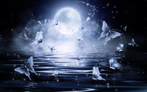 Artistic Butterfly Moon Moonlight HD Wallpaper | Background Image