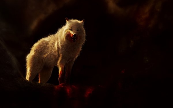 Fantasy Wolf Fantasy Animals Dark Blood HD Wallpaper | Background Image