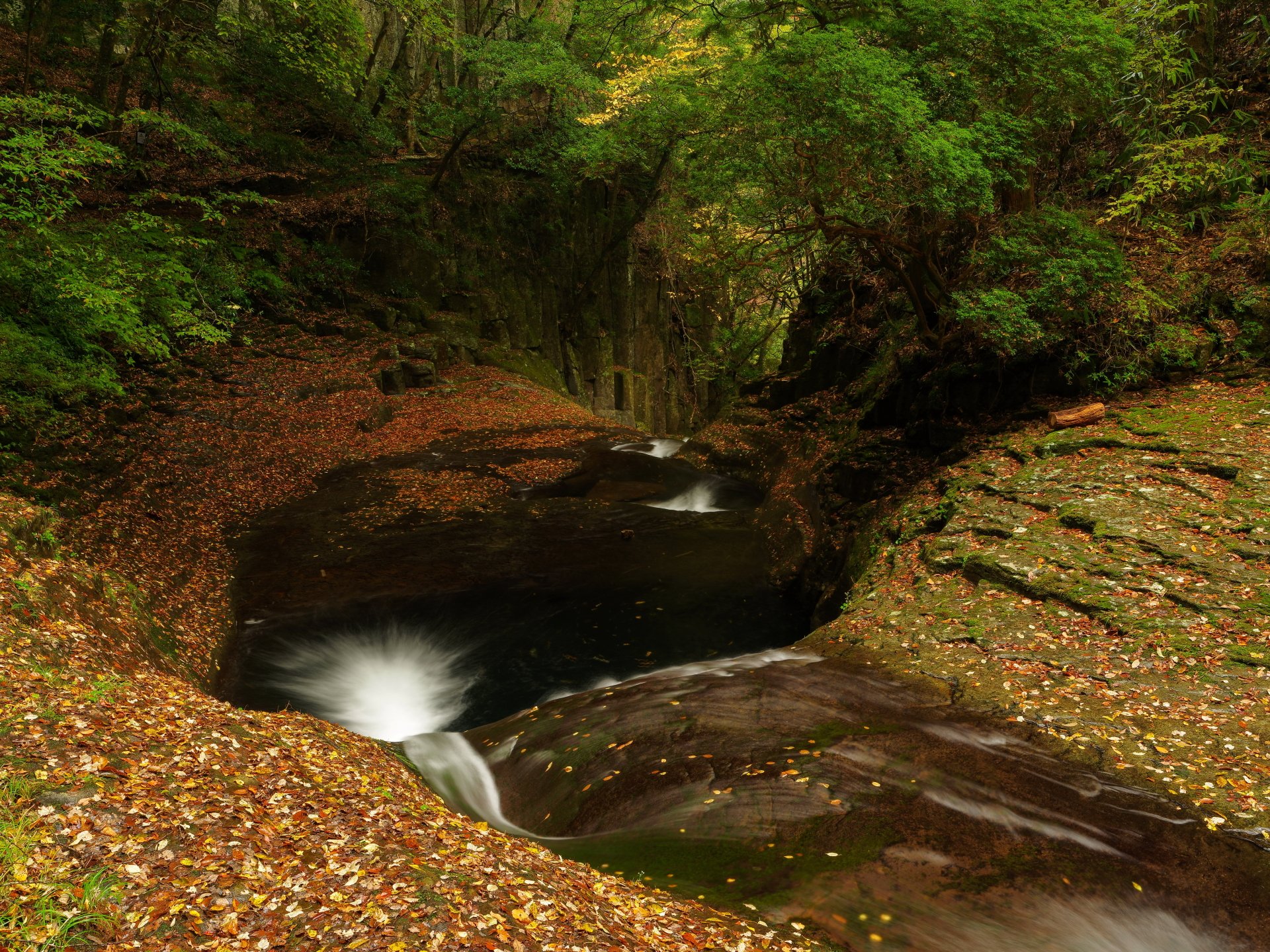 4K Ultra HD desktop wallpaper showcasing a serene forest stream flowing through lush greenery and rocky terrain in a peaceful natural setting.