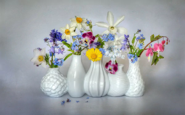 colorful vase man made flower HD Desktop Wallpaper | Background Image
